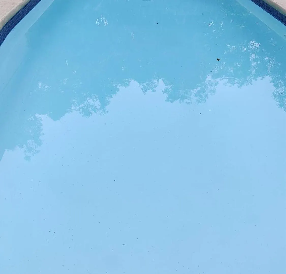 Getaway In A Spacious Pool Home Tampa 0*,